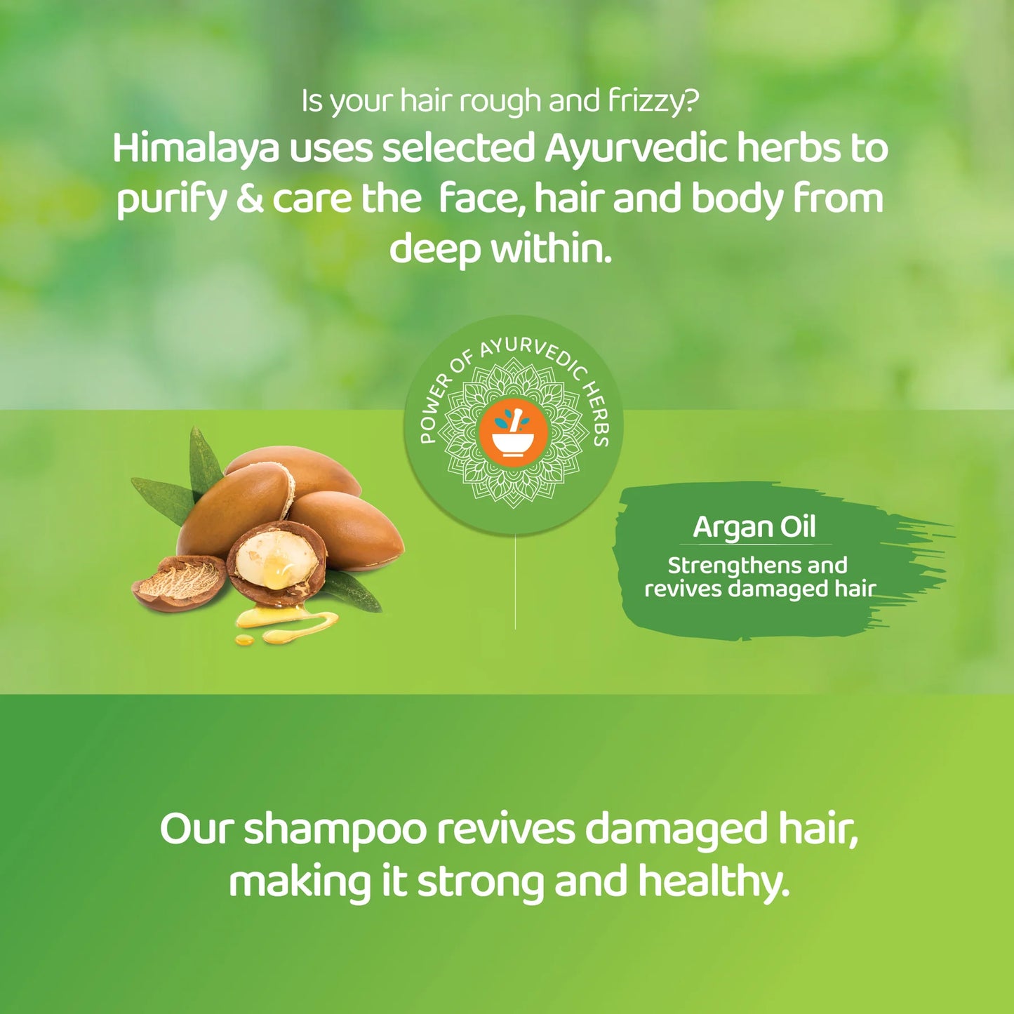 Argan Shampoo med proteiner - Repair & Regenerate - 400ml.
