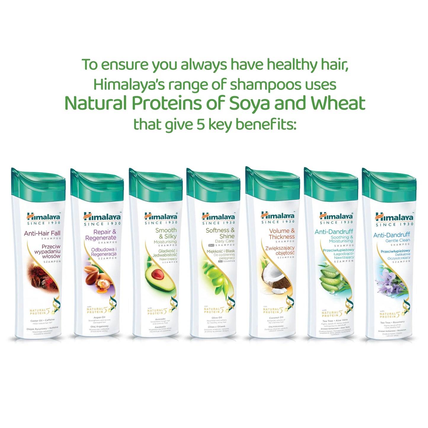 Protein Shampoo - Smooth & Silky - 400 ml.