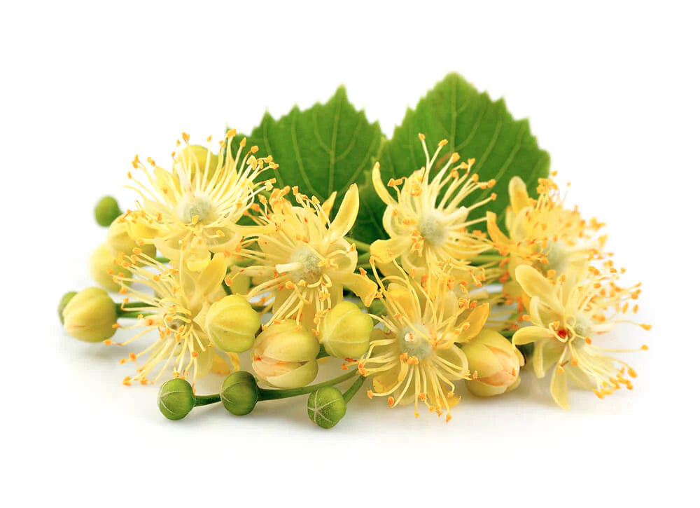 Ekologisk Lindhonung 500g.