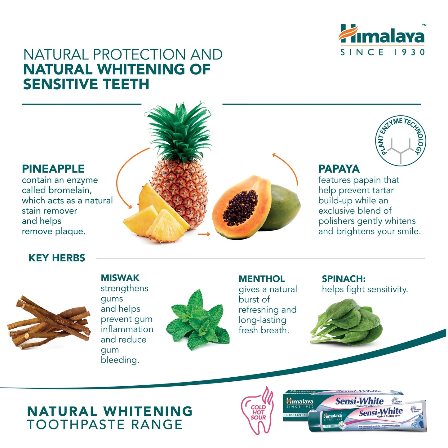 Gum Expert Herbal tandkräm - Sensi White - 75ml.