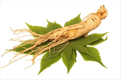 Ekologisk Honung med ginseng 250g.